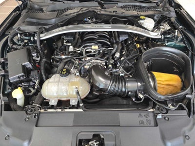2019 Ford Mustang Bullitt
