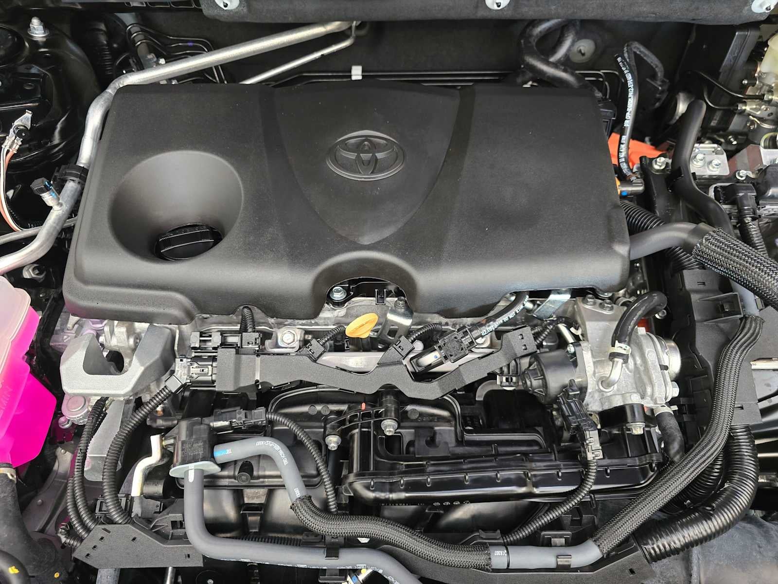 2026 Toyota RAV4 Woodland