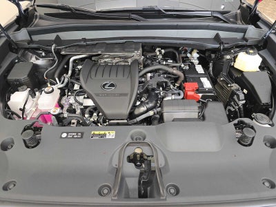 2025 Lexus TX 350 Luxury