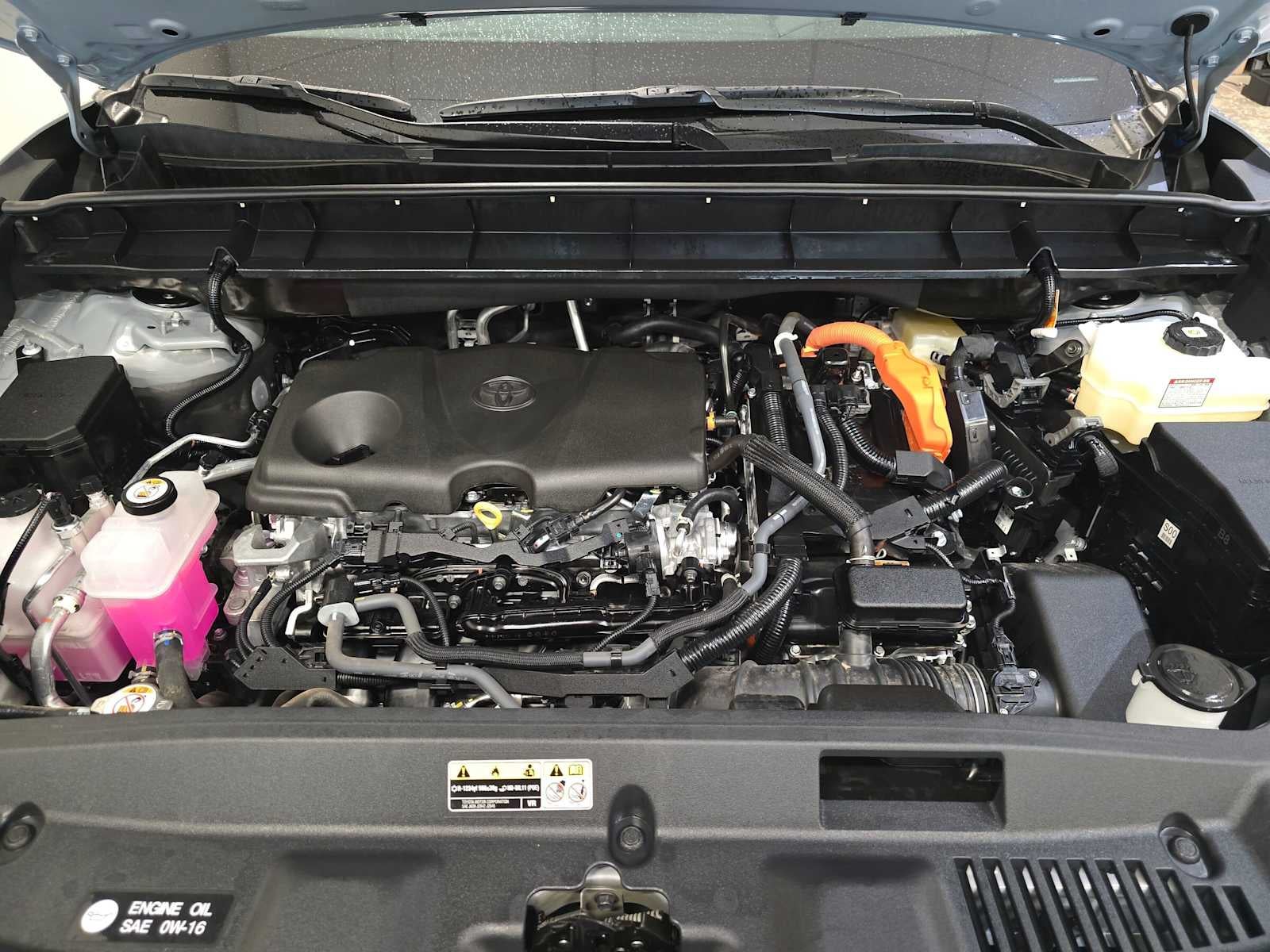 2025 Toyota Highlander Hybrid XLE Nightshade