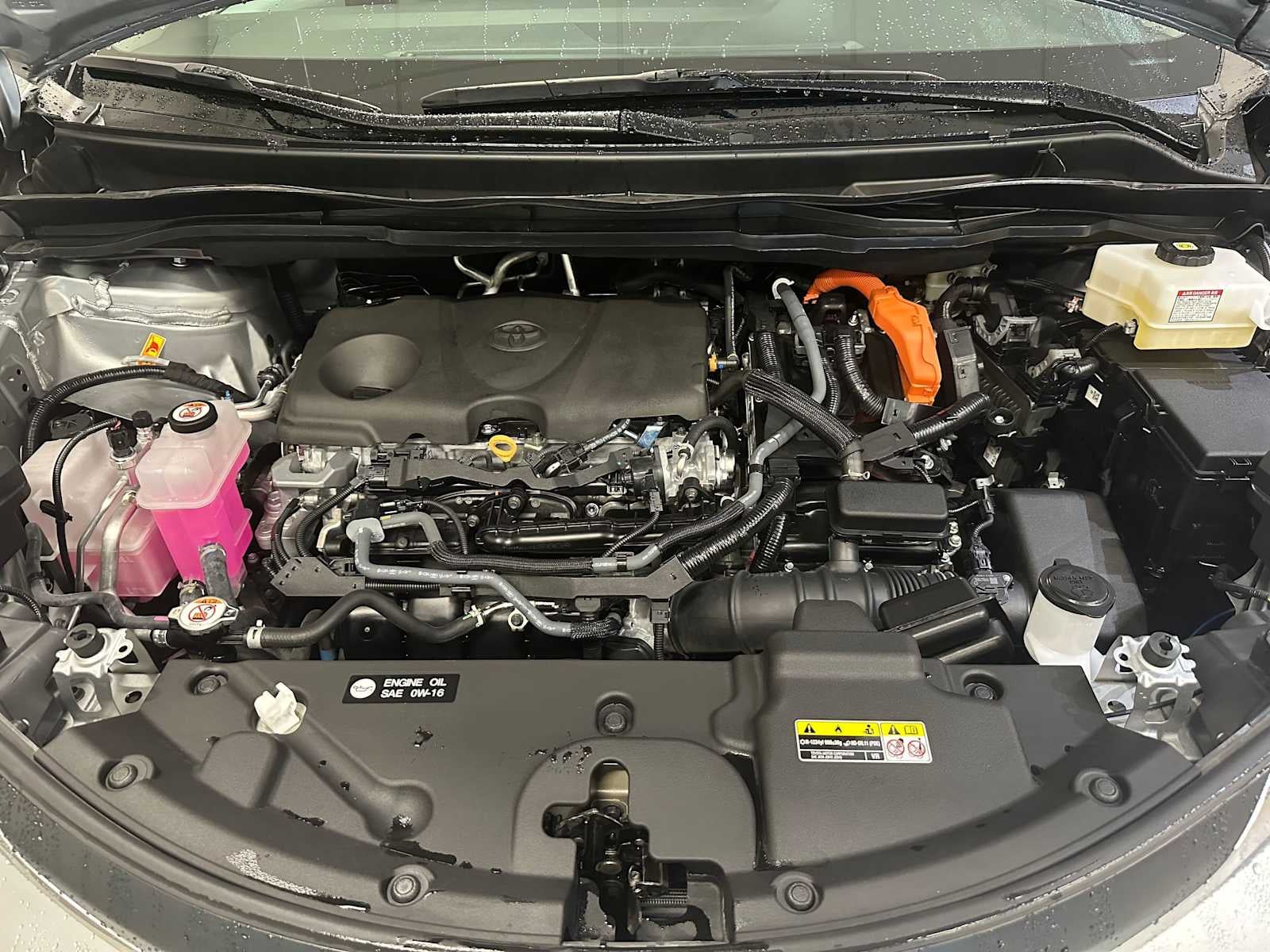 2025 Toyota Sienna LE