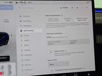 2025 Tesla Model 3 Performance