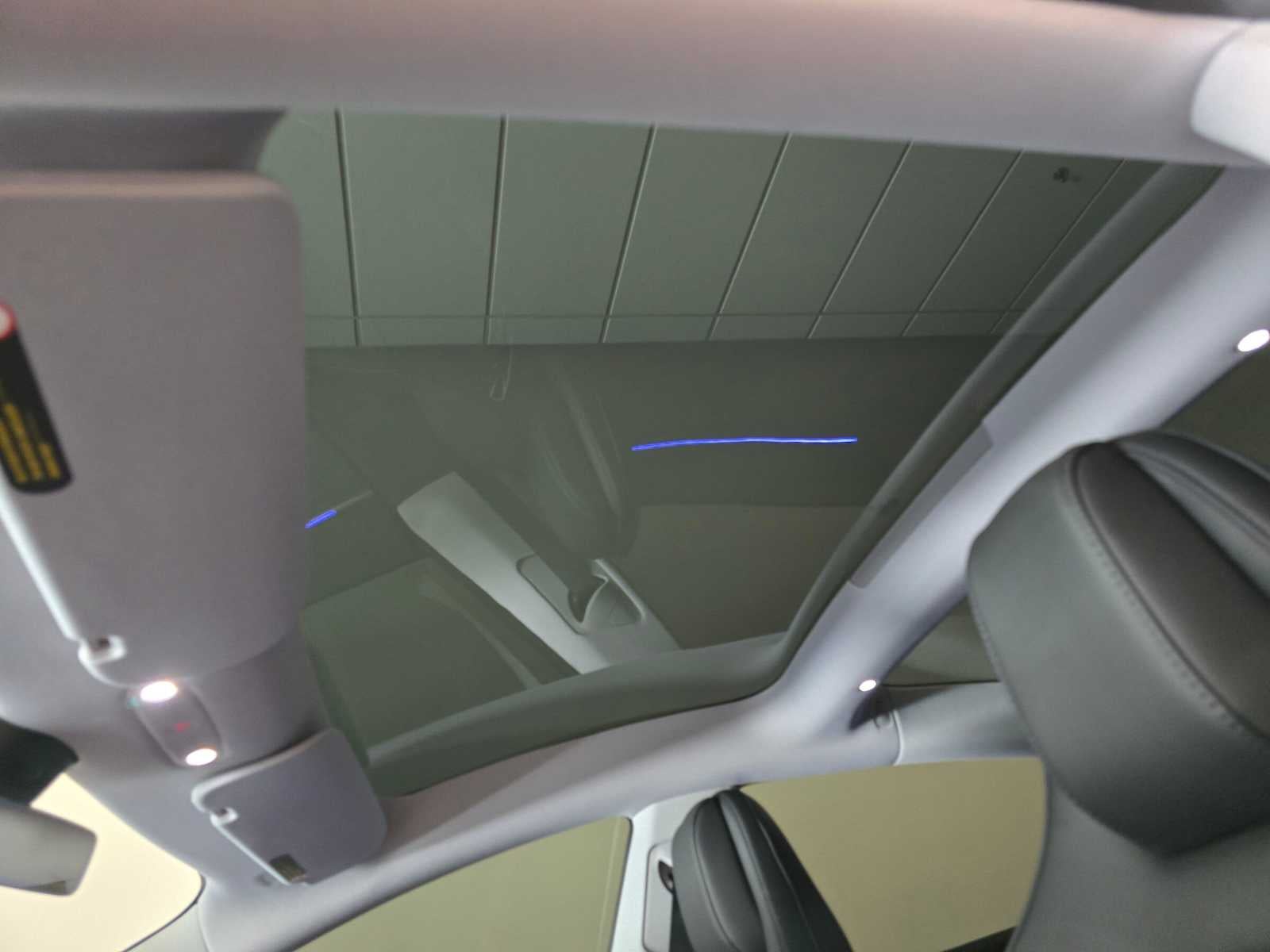 2025 Tesla Model 3 Performance