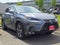 2019 Lexus NX 300h NX 300h