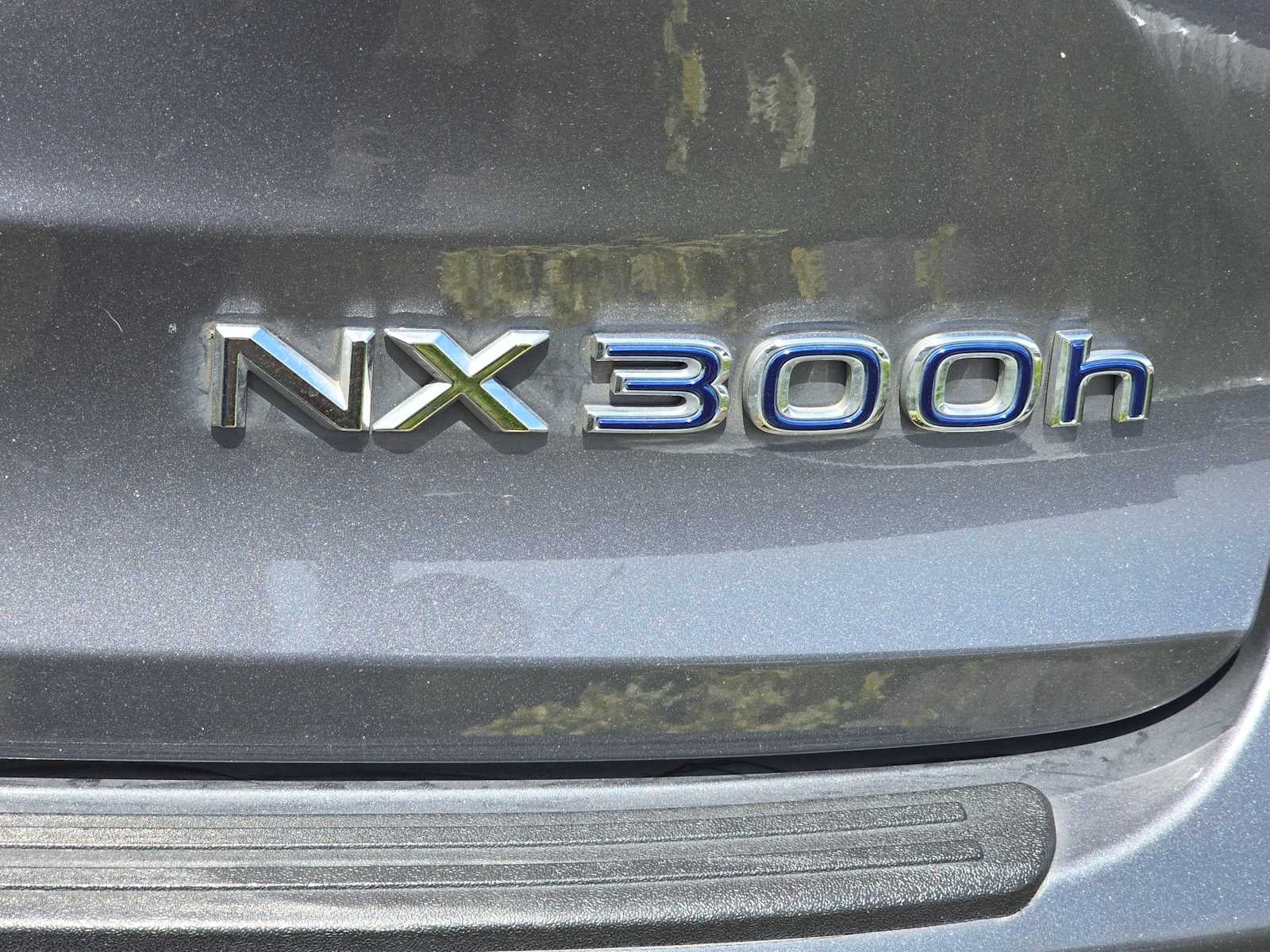 2019 Lexus NX 300h NX 300h