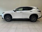 2025 Lexus NX Premium