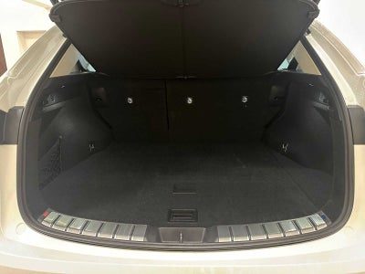 2025 Lexus NX Premium