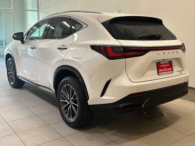 2025 Lexus NX Premium