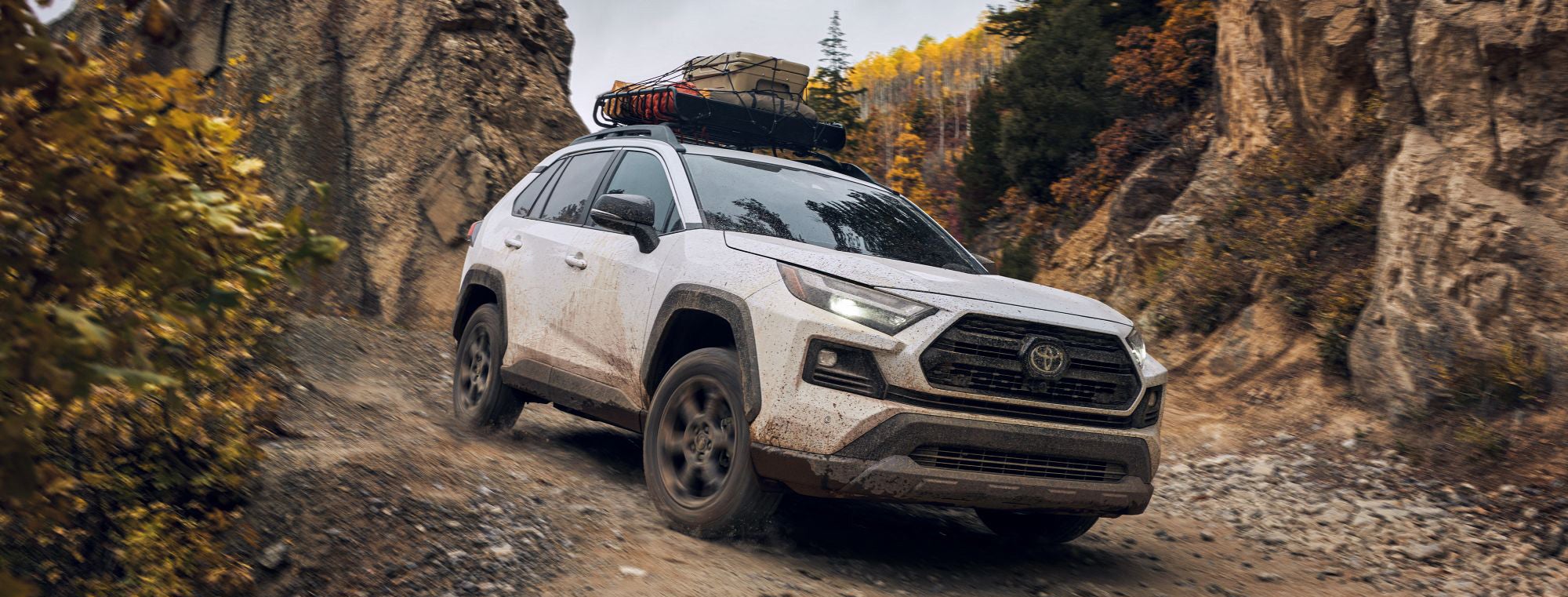 Toyota of Bellevue in Bellevue WA